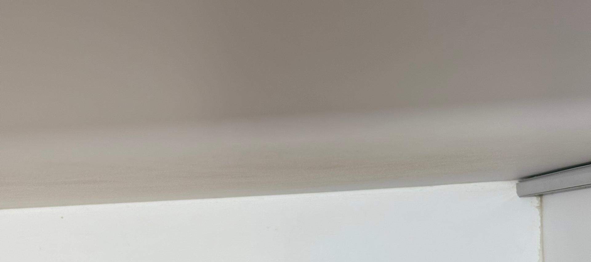 บัตรเข้าชม Just Cats 