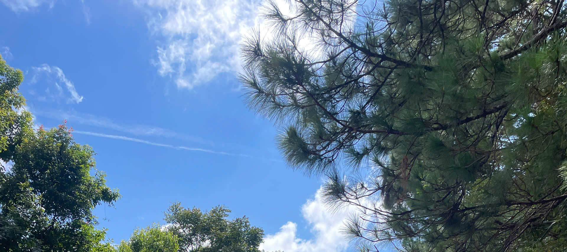 Tour Phiêu Lưu Đạp Xe Từ Đà Lạt Đi Mũi Né