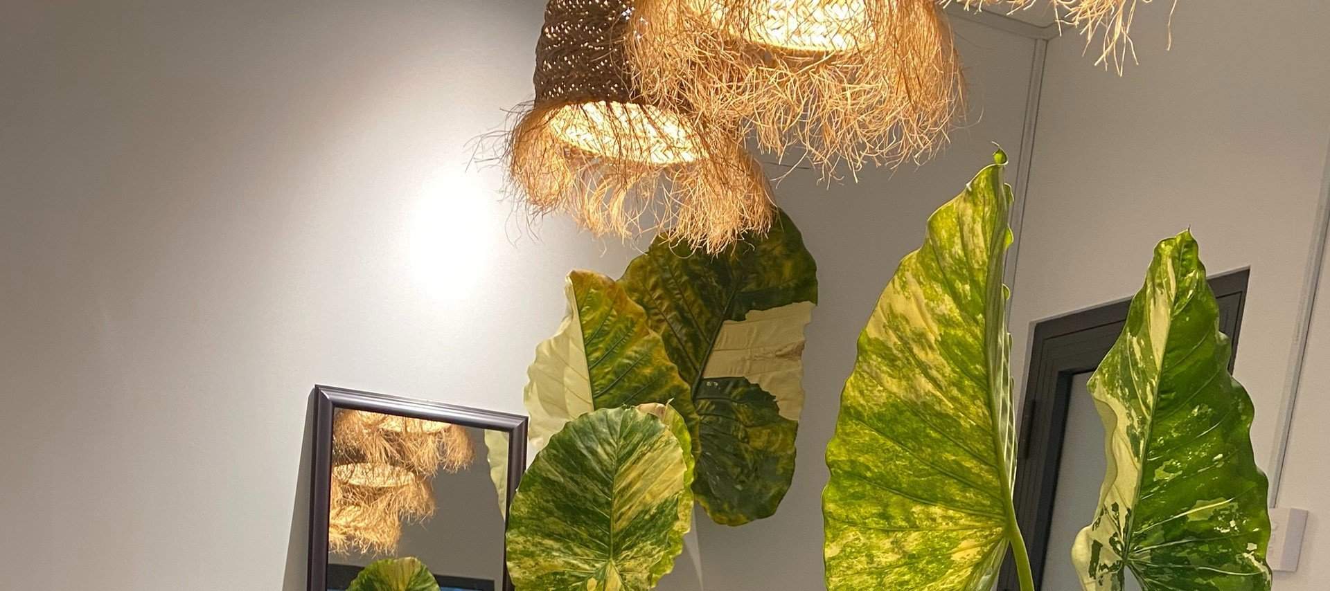 Cenare a casa presso la cucina Tai Ngon di Ho Chi Minh