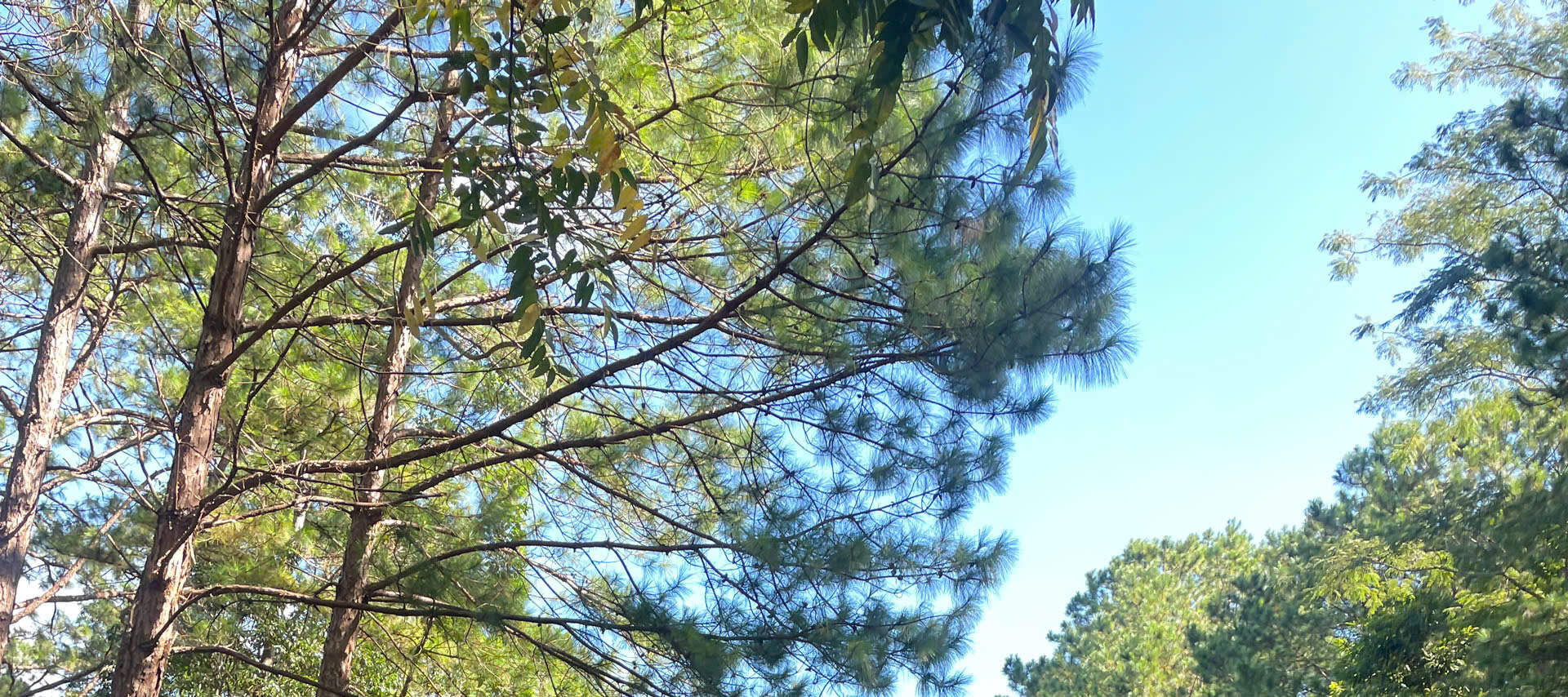 Tour Phiêu Lưu Đạp Xe Từ Đà Lạt Đi Mũi Né