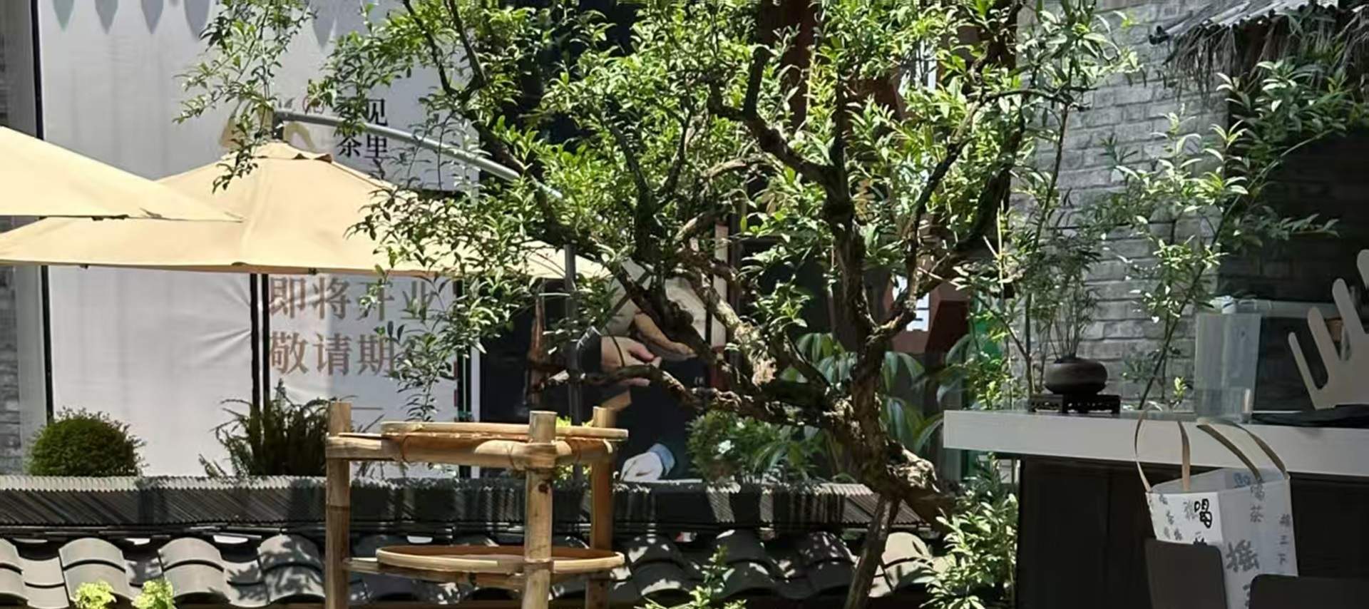 Esperienza di tè da fuoco lento Xiaotao Yi a Chengdu