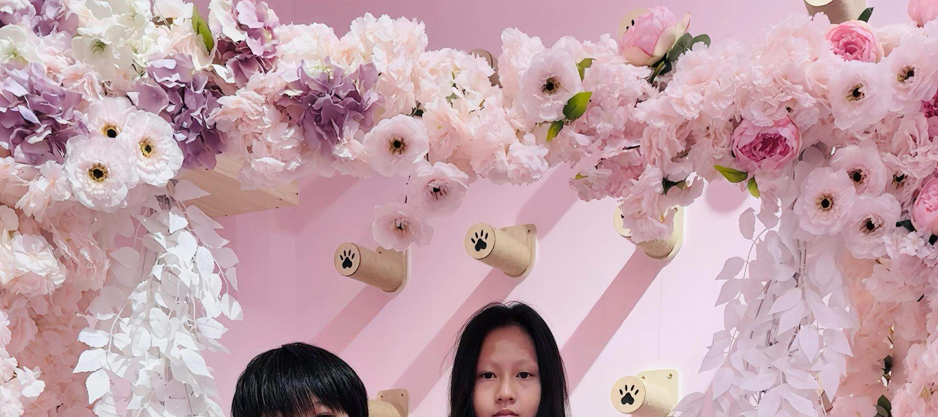 Chào mừng đến với Kitty Wonderland - nơi những bàn chân nhỏ bé và những giấc mơ lớn vui đùa!