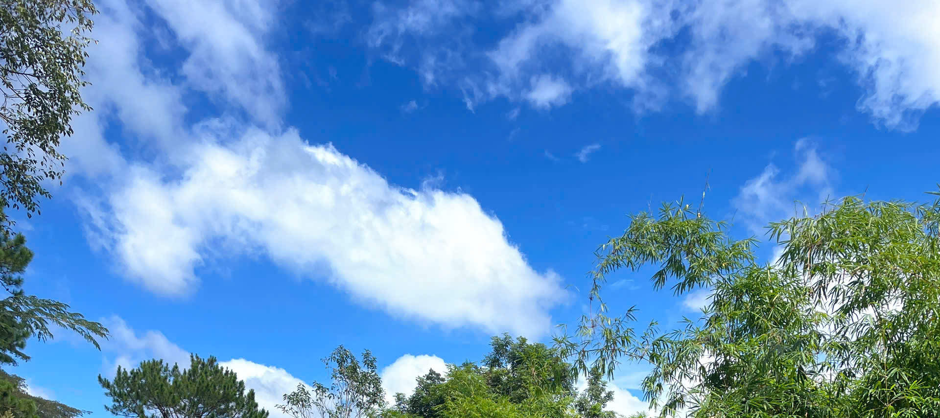 Tour Phiêu Lưu Đạp Xe Từ Đà Lạt Đi Mũi Né