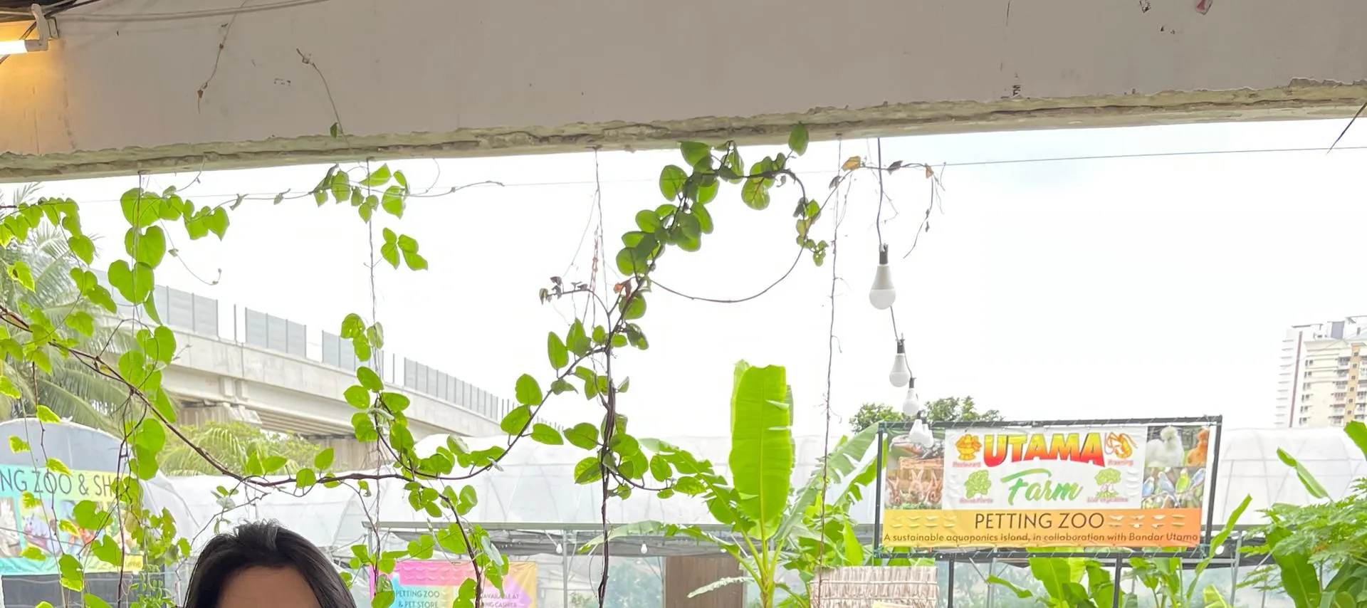 Utama Farm：宠物动物园、捕虾和钓鱼、棒球击球笼
