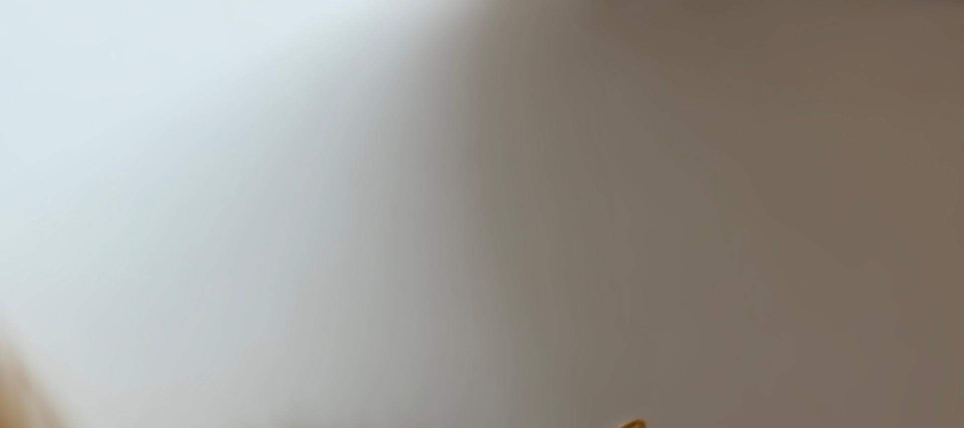 Just Cats 貓咪樂園門票