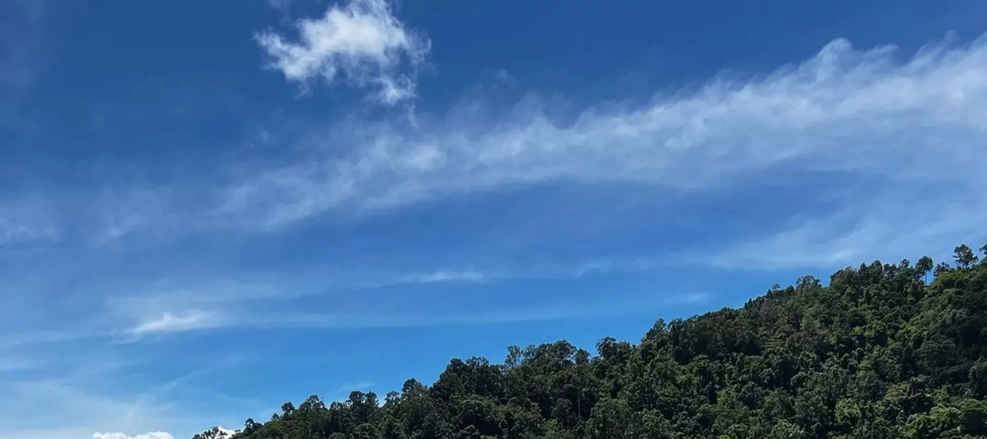 直接从我们在哥打京那巴鲁的船上潜水，沉浸在实践学习中，掌握在现实条件下的先进技术