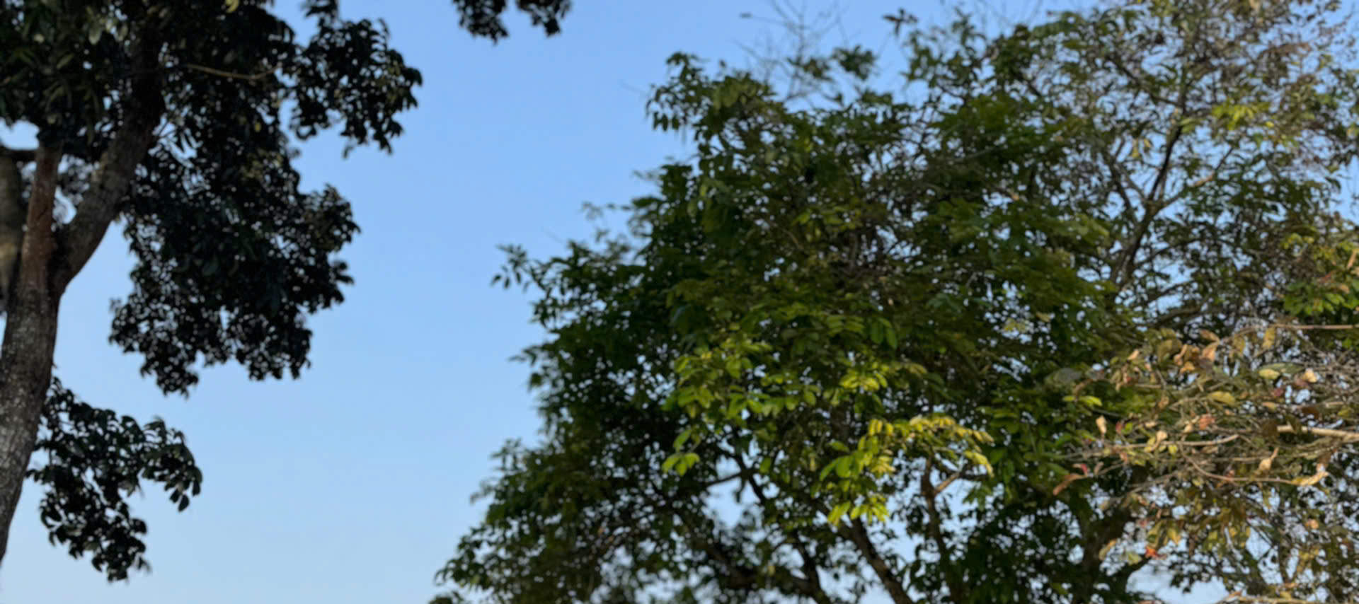 Penyewaan E-Bike/ E-Scooter di Hue 