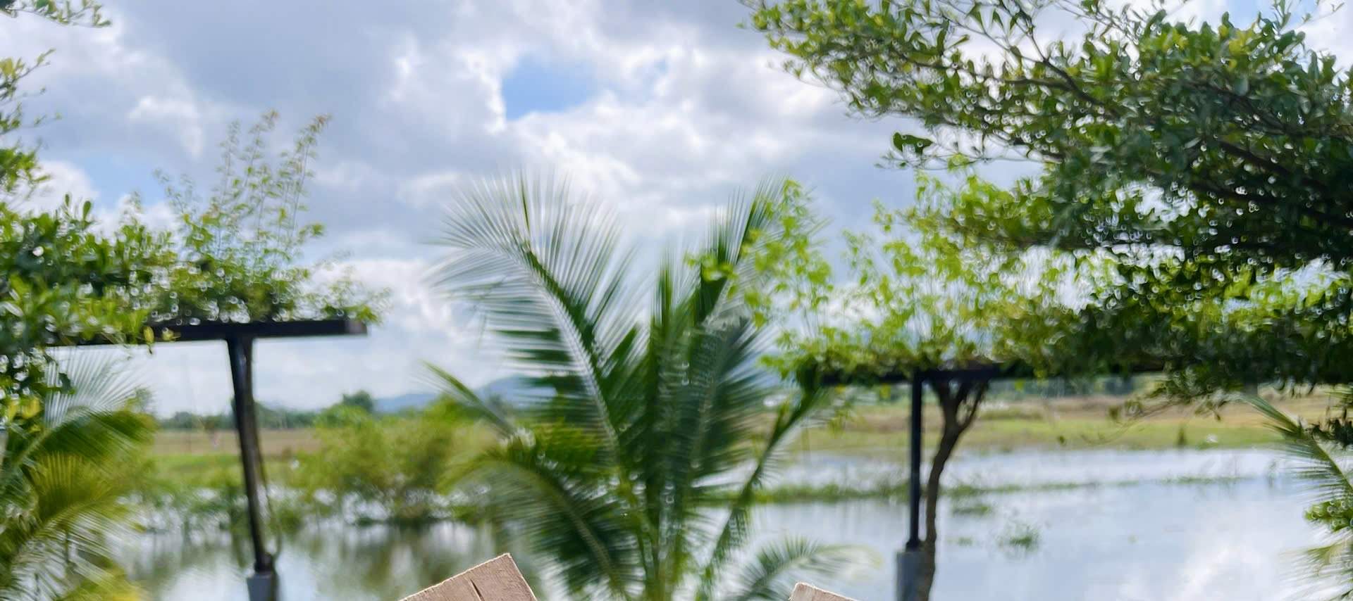 Cours de sculpture sur bois de 3 heures avec un artiste local à Hội An