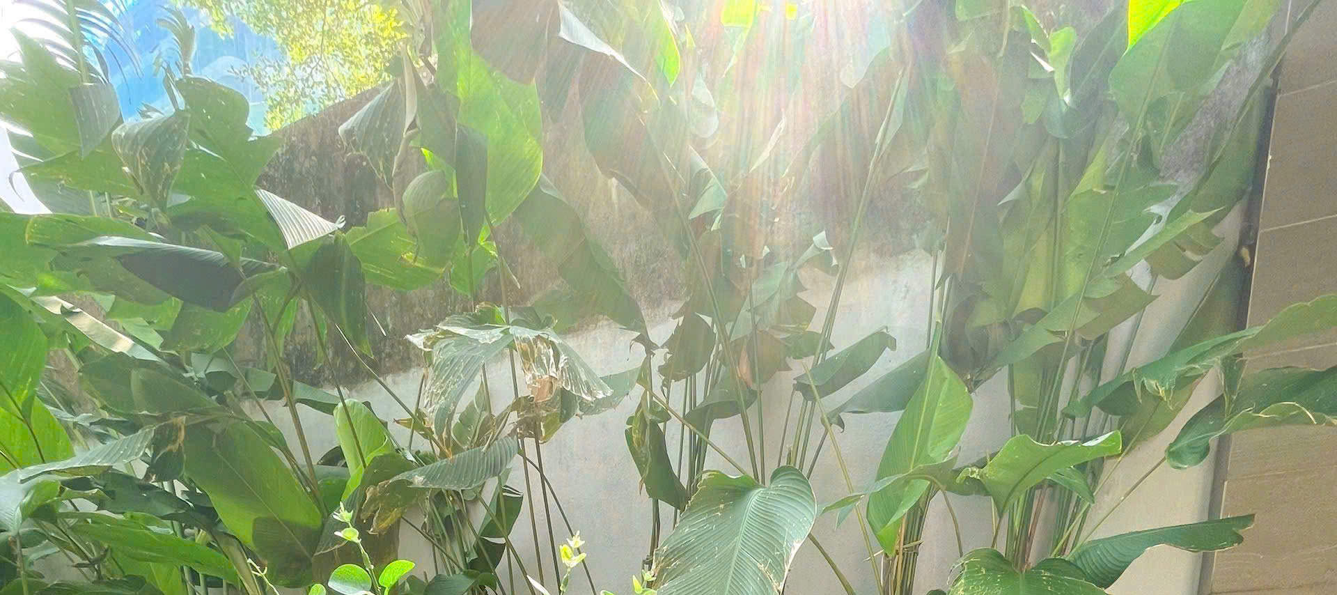 Sarangbang Spa Da Nang : Relaxation ultime avec massage signature