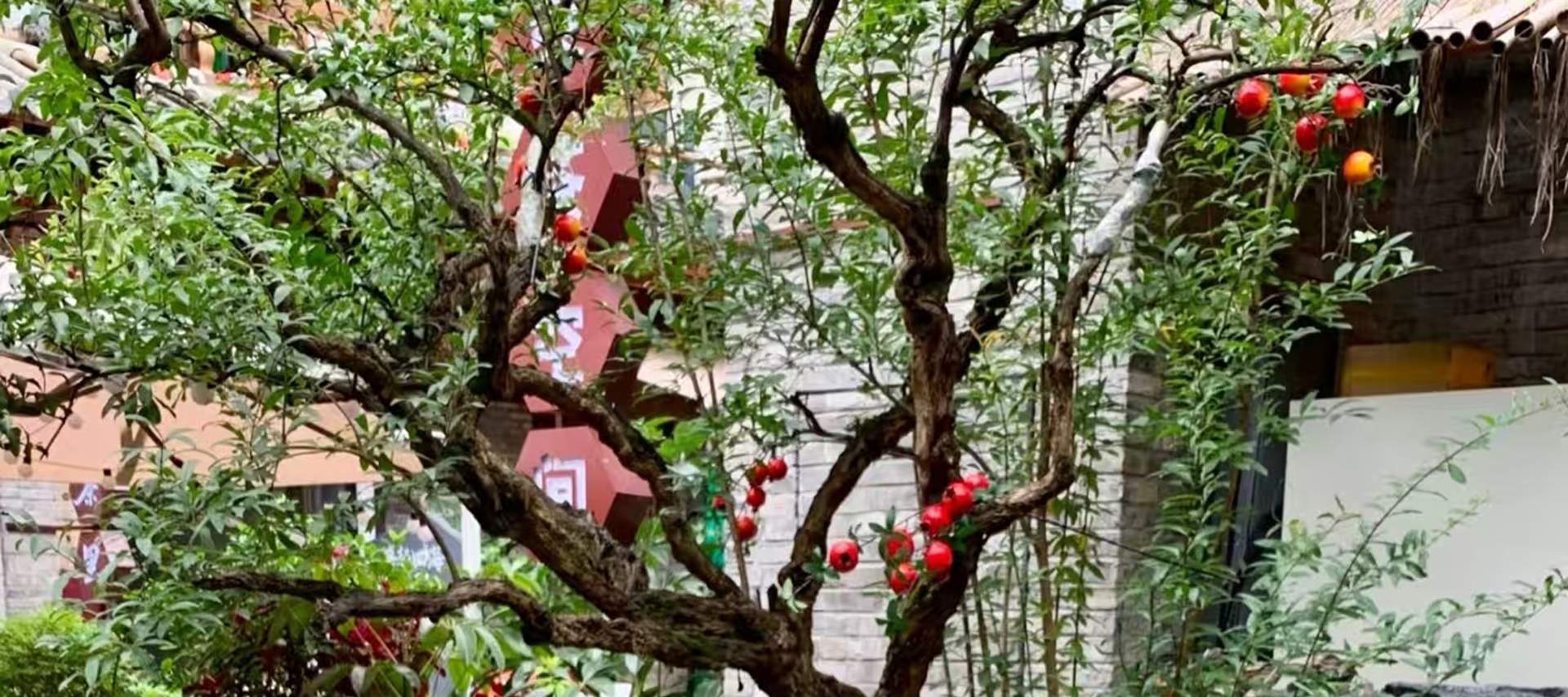 Pengalaman Chengdu Xiaotao Yi Merebus Teh di Perapian