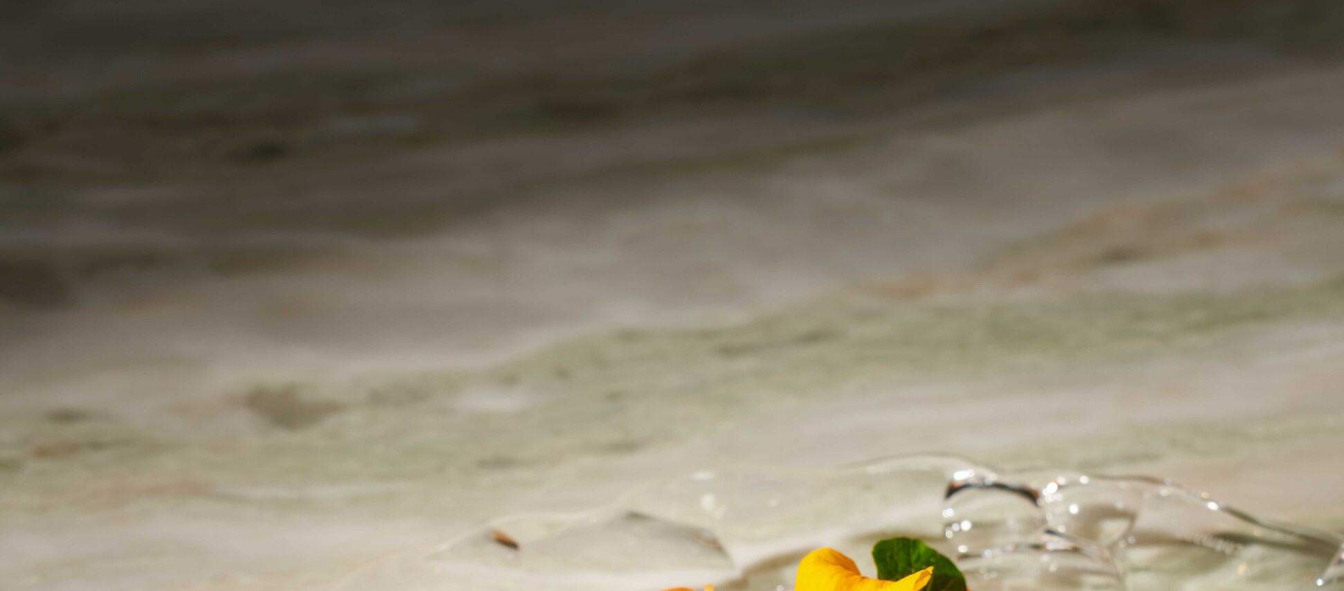 曼谷瑞吉酒店 IGNIV Bangkok 餐廳（米其林一星）