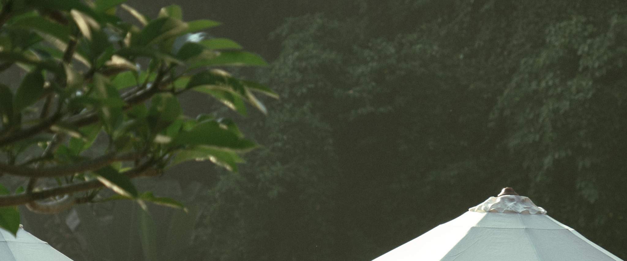 オンマ・デイ・クラブ & トゥグヌンガン滝