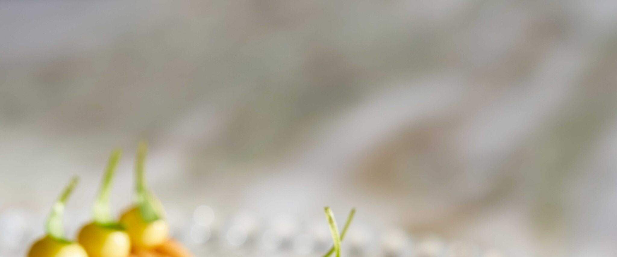 IGNIV Bangkok at The St.Regis Bangkok (One Michelin Star)