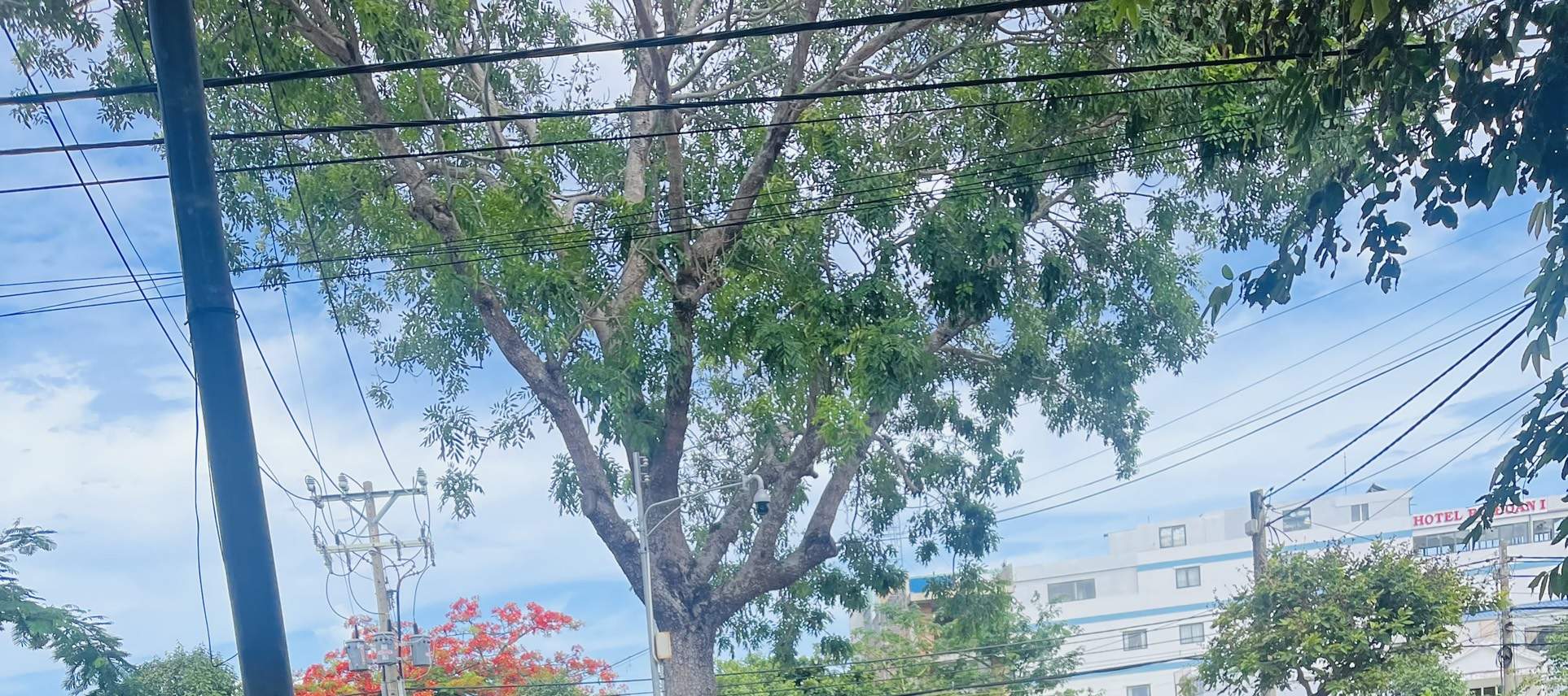 立即通过Klook客路轻松预订摩托车租赁服务！