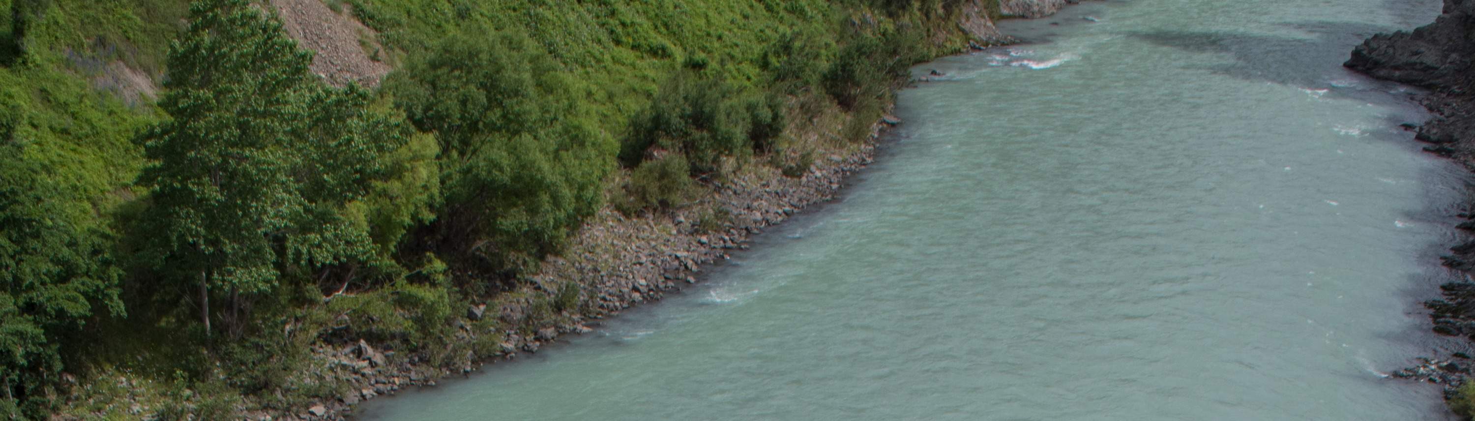 Salto bungy Hanmer Springs Klook