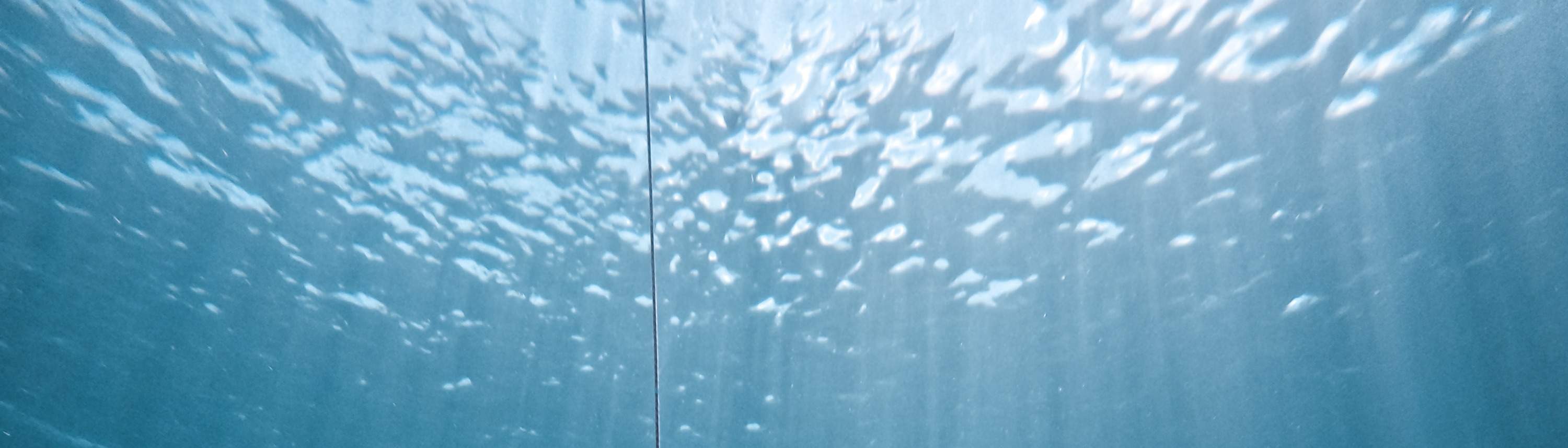 臺東: 綠島自由潛水體驗 (免證照&附海底攝影)