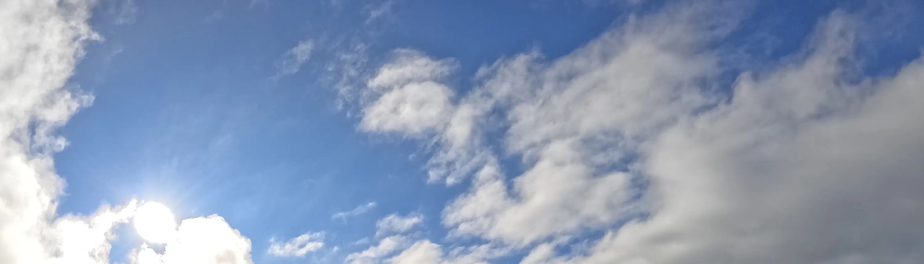 绿色的田野和蓝色的天空