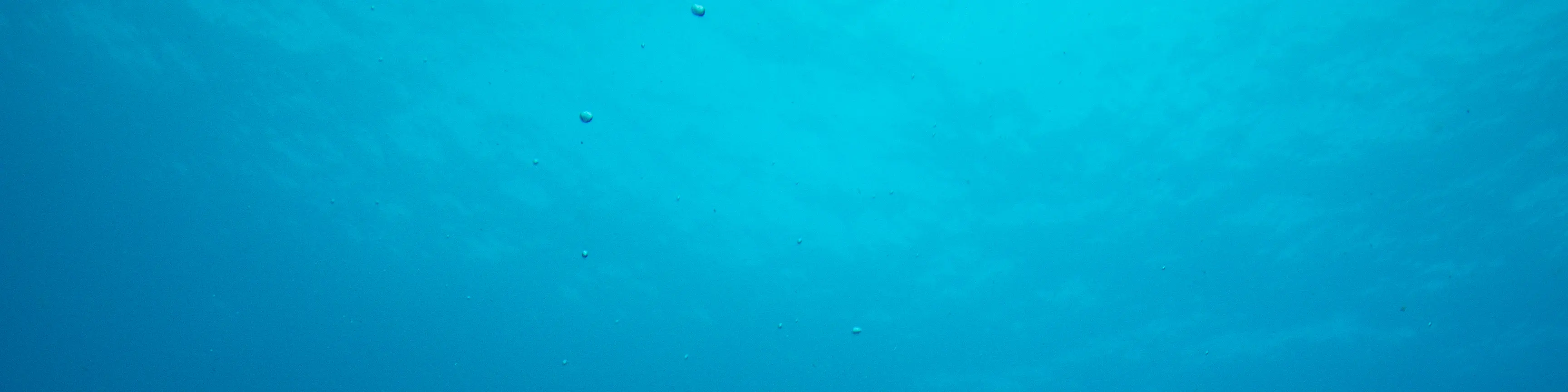 PADI 开放水域潜水员
