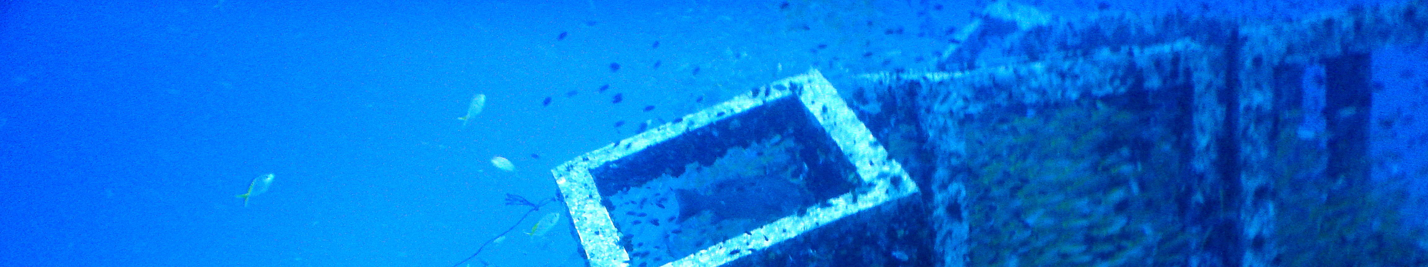 PADI高氧空气潜水员