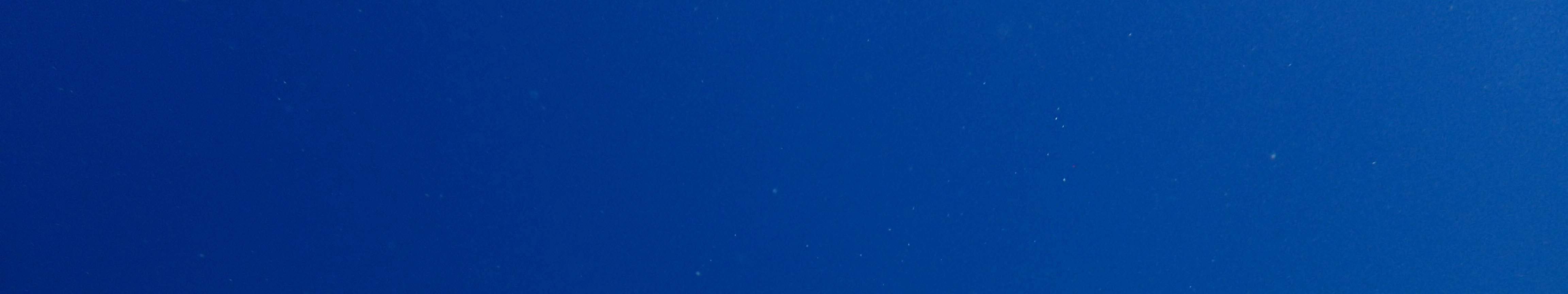 PADIオープン・ウォーター・ダイバーコース