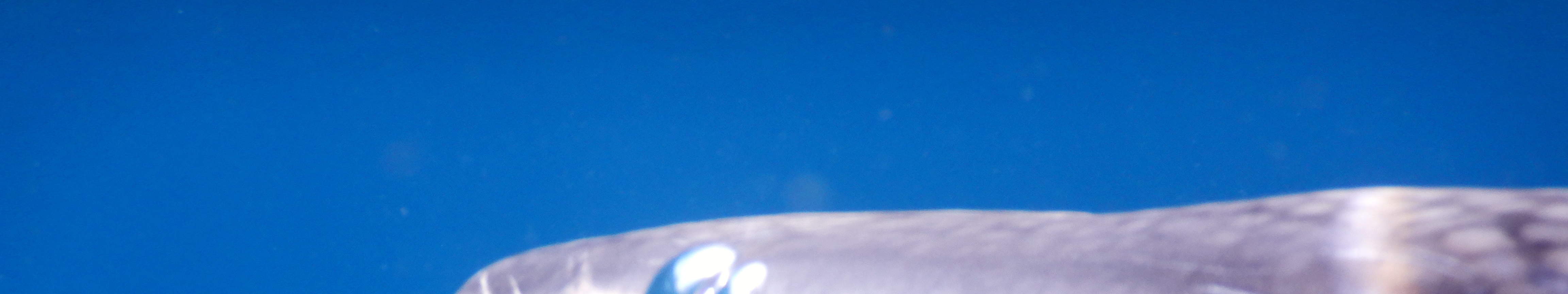 PADI Buceador con Aire Enriquecido (Nitrox)