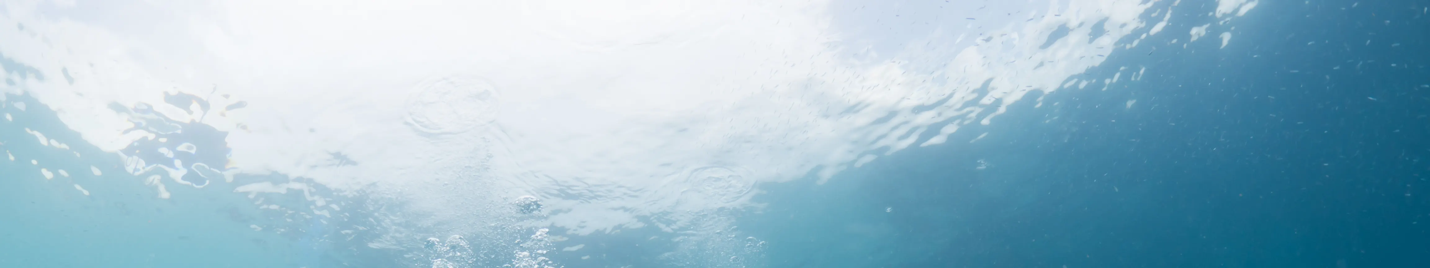 仙本那 Fundive 潜水之旅
