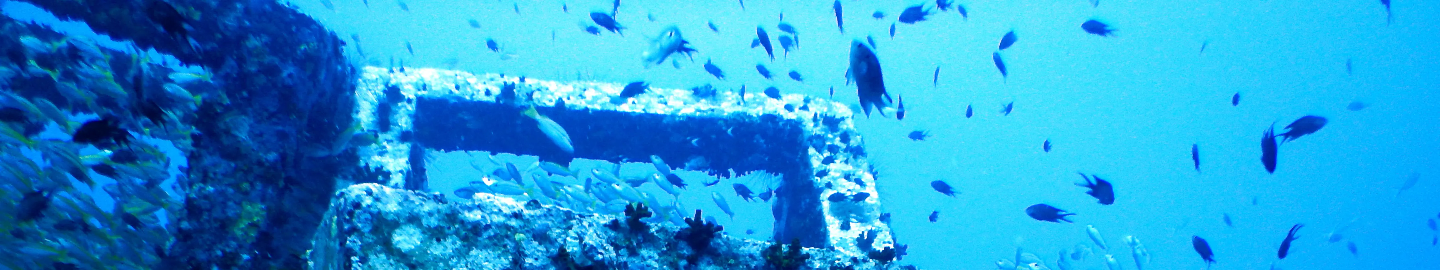 PADI 高氧空气潜水员（高氧）