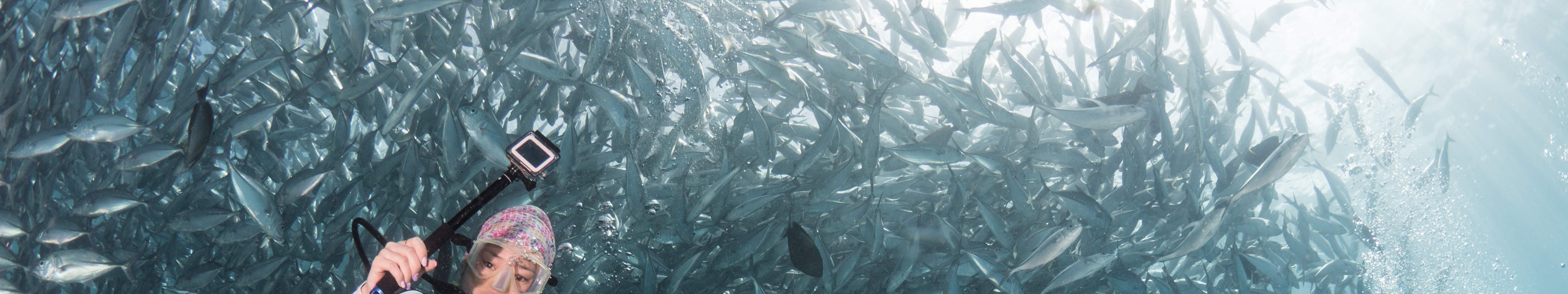 시파단 펀 다이빙 당일 여행