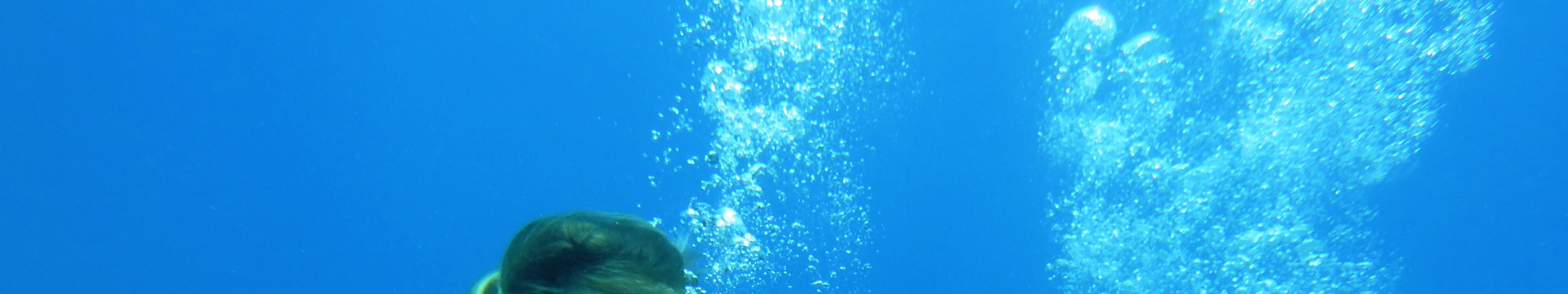 PADI 体验水肺潜水