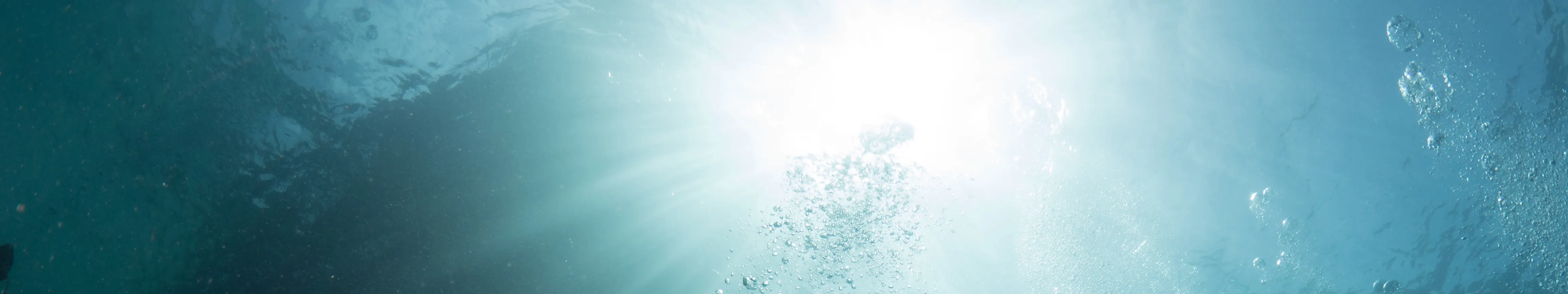 仙本那 Fundive 潜水之旅