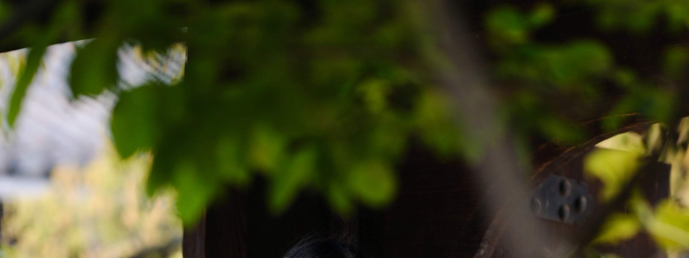 在我们的高级韩服系列之上，还有一种更高级别的选择，称为特别韩服。此选项未在网站上列出，但您可以在现场升级。