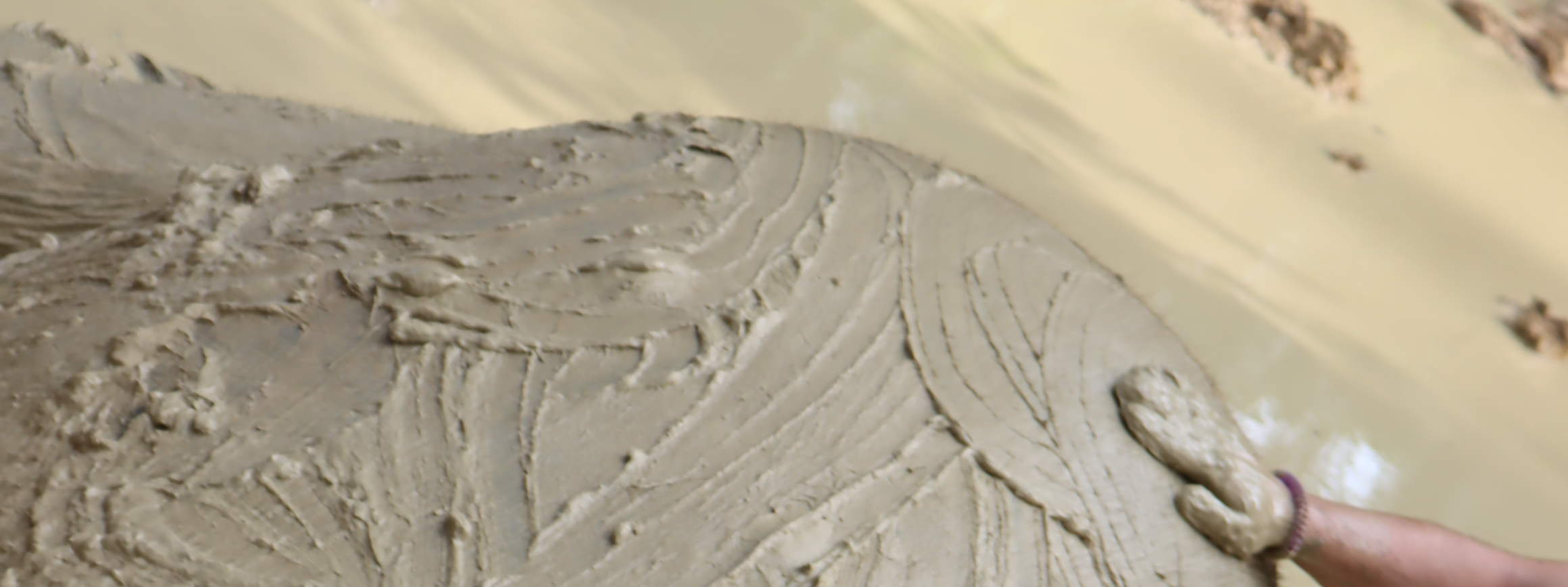 ประสบการณ์ปางช้างกระบี่