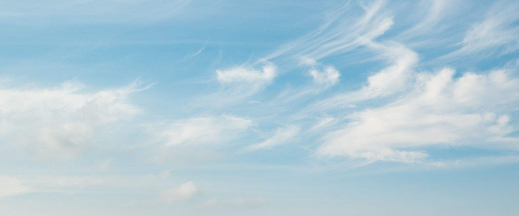 จุดชมวิวเกาะนก