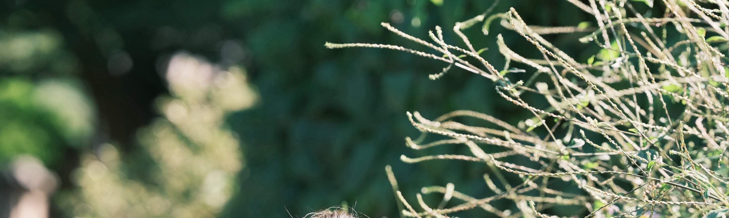 Trải nghiệm Hanbok tại Cung Cảnh Phúc, Làng Hanok Bukchon, Cung Xương Đức (bao gồm tạo kiểu tóc Hàn Quốc)