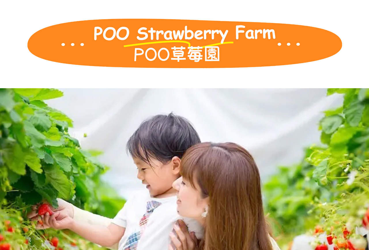 Strawberry Picking/Yanagawa River Cruise & Takeo Shrine & Dazaifu ...