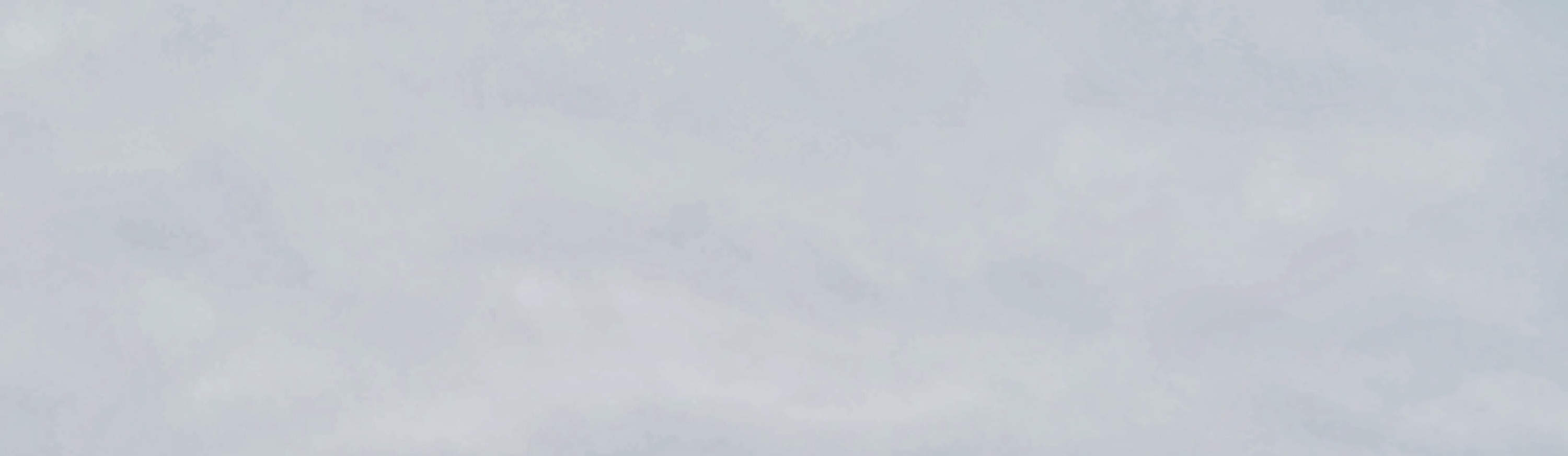 Lim23 - Corso di Surf - Domina l'Onda Perfetta per Principianti ed Esperti