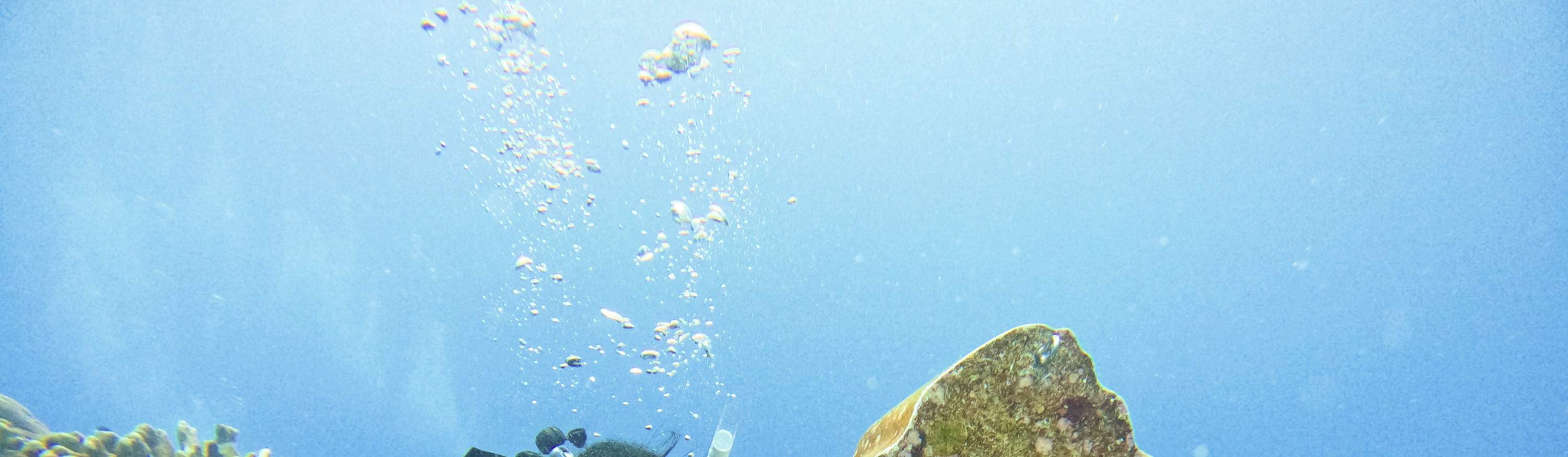 Green Island Huoshao Island Diving PADI OW・AOW・Freediving License