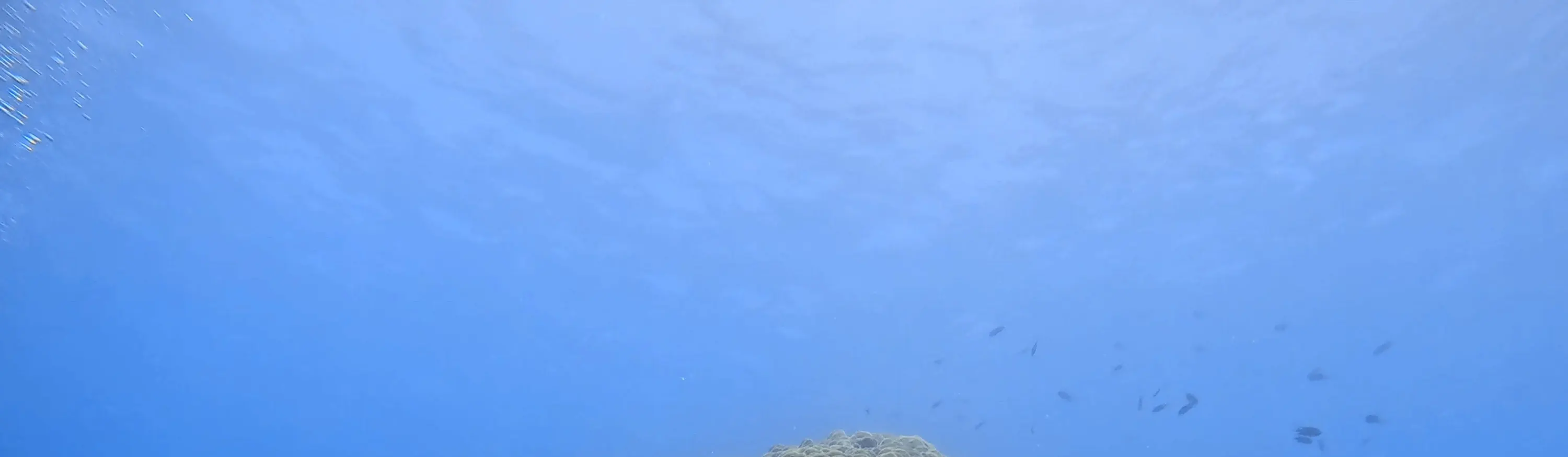 澎湖马公：八个浪潜水船潜体验