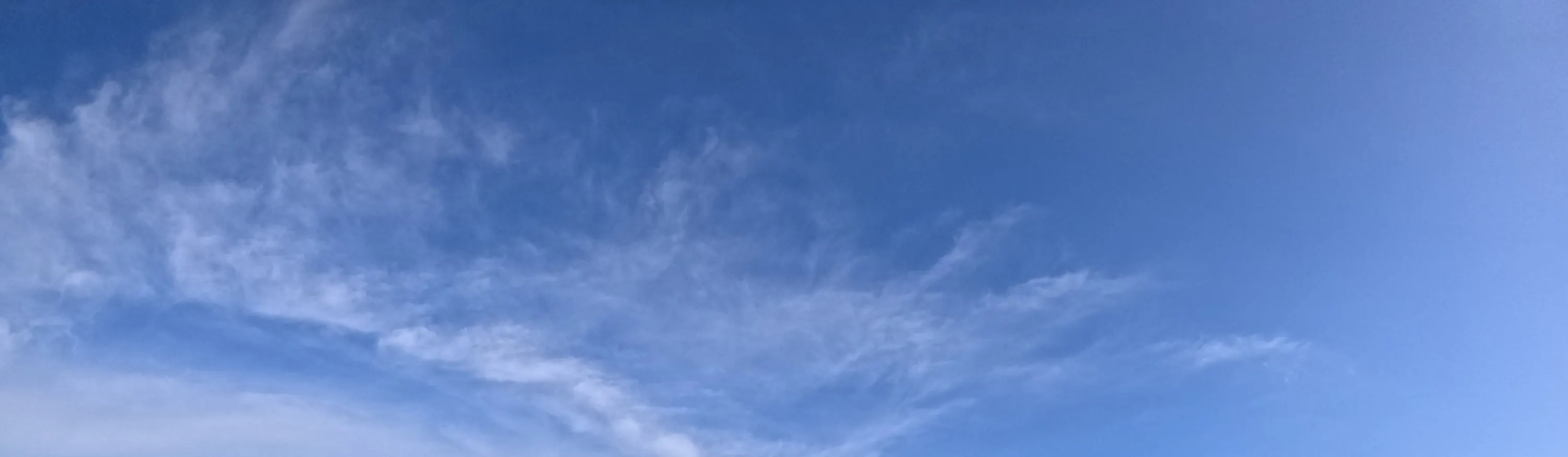 4 岛浮潜日落之旅 + 生物发光夜泳。