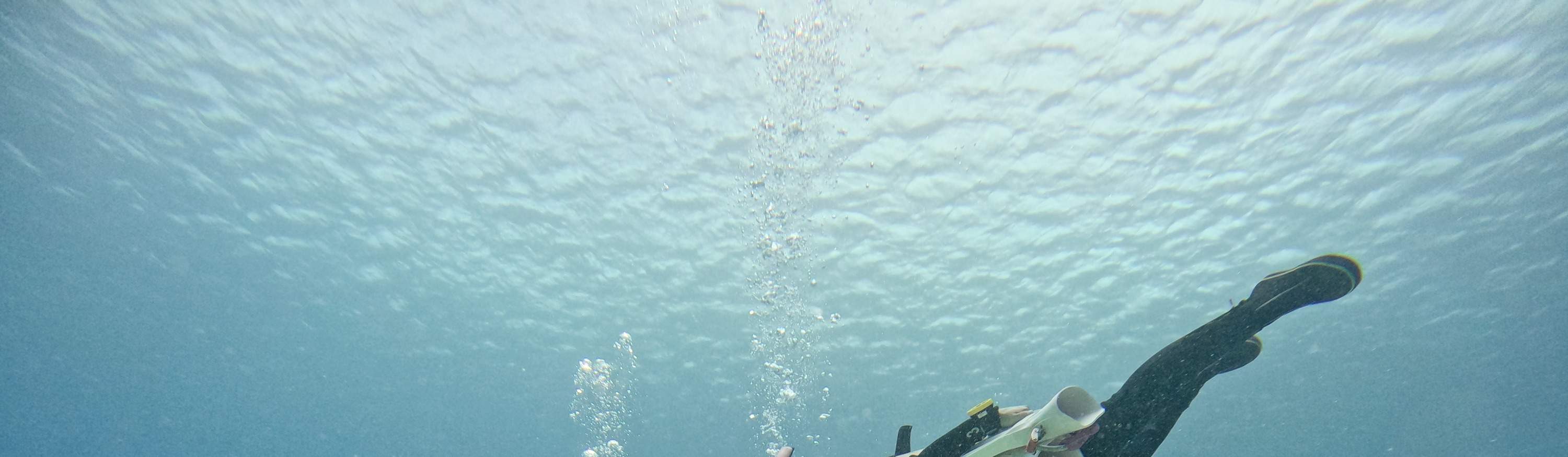 Green Island Huoshao Island Diving PADI OW・AOW・Freediving License