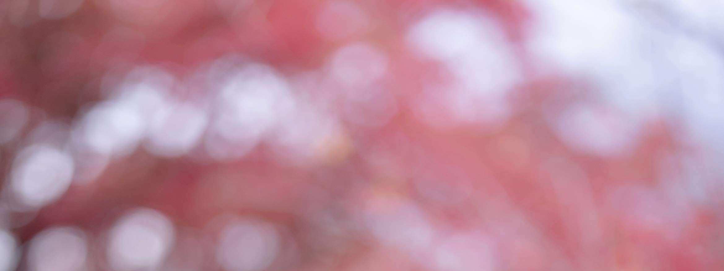 교토 사진 서비스