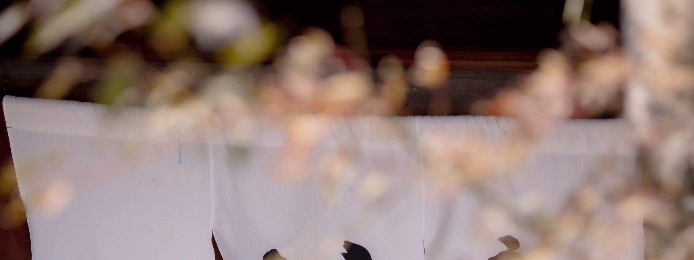 교토 사진 서비스