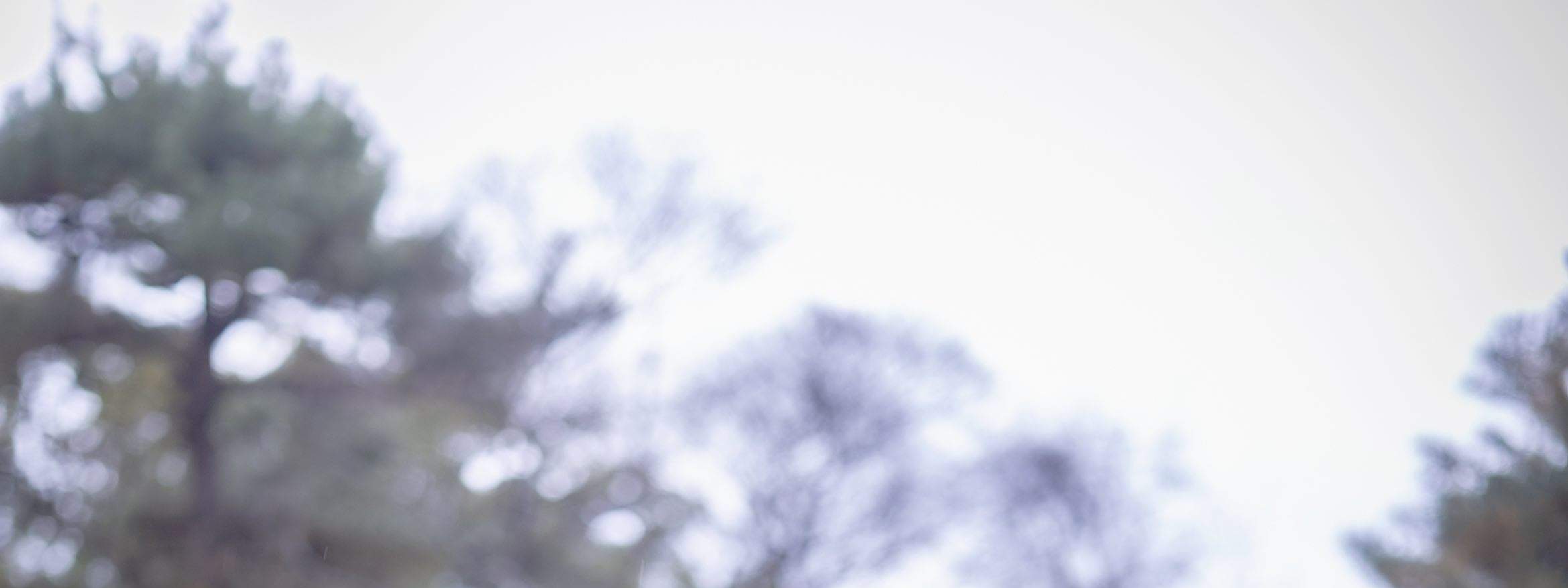 교토 사진 서비스