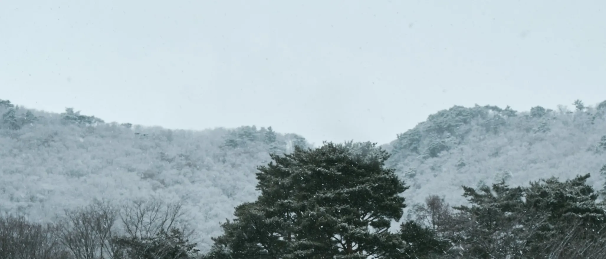 日本露营体验 用具租借Snowpeak套装 2日1夜 (东京上野)