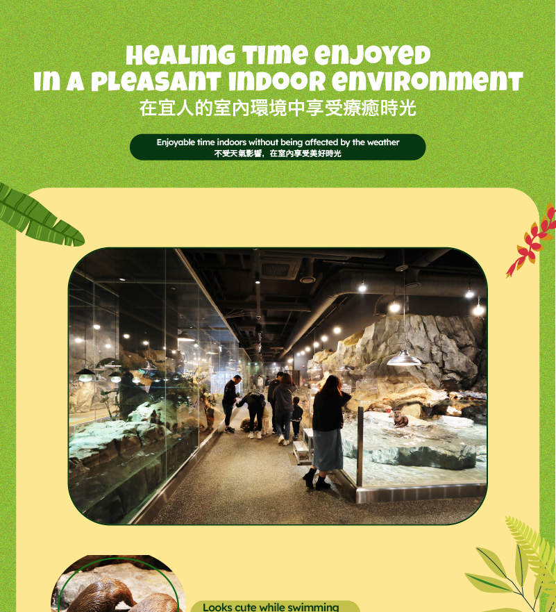 Tiket SeenB Indoor Animal with Aqua Garden (Berang-berang, dll.)