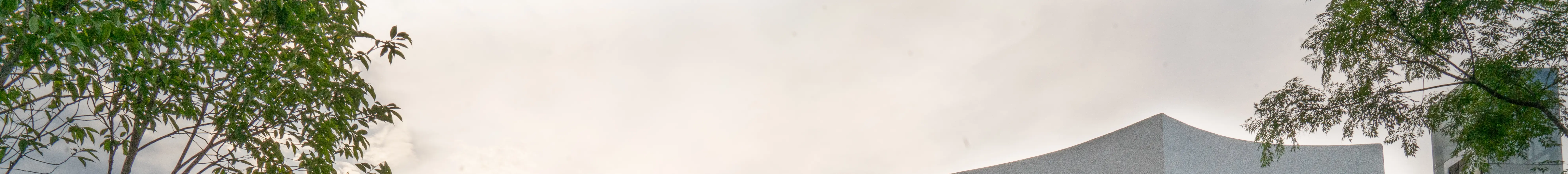 Lê Bá Đảng Memory Space