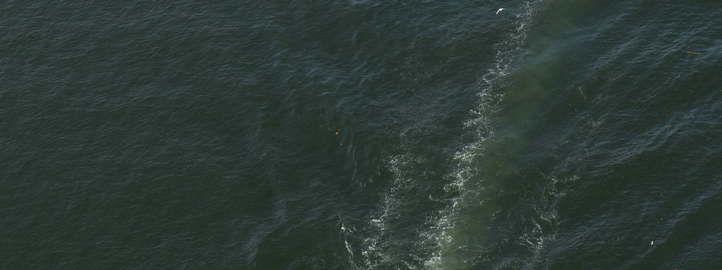 Recorrido a pie por Oporto, Librería Lello, crucero por el río y teleférico