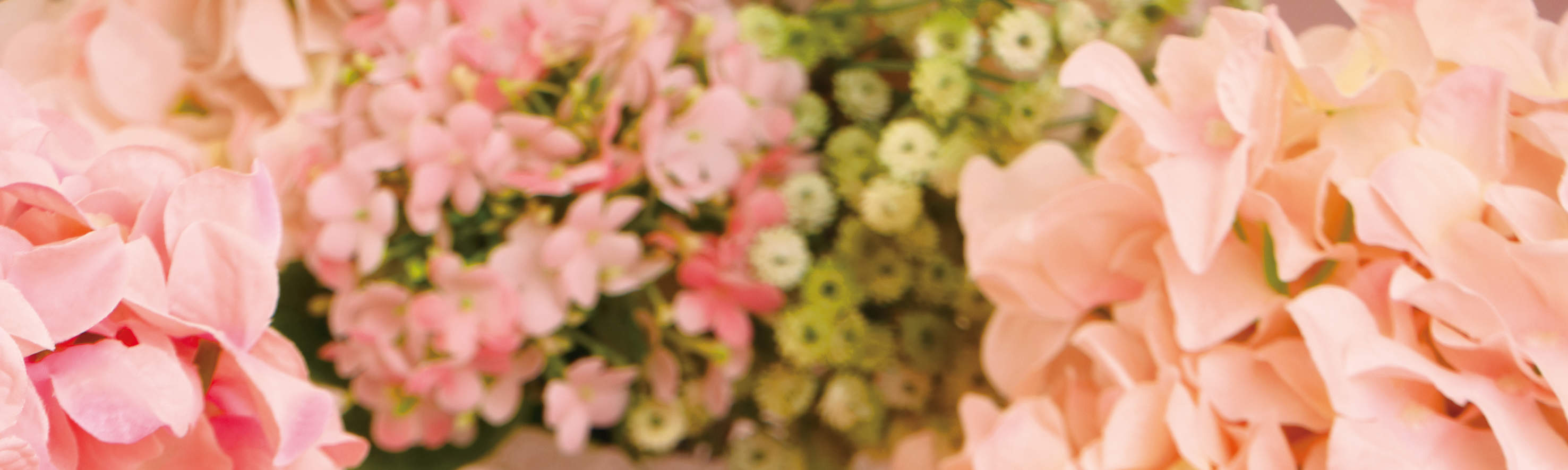 Causeway Bay King Ludwig German Restaurant ｜German Valentine's Dinner