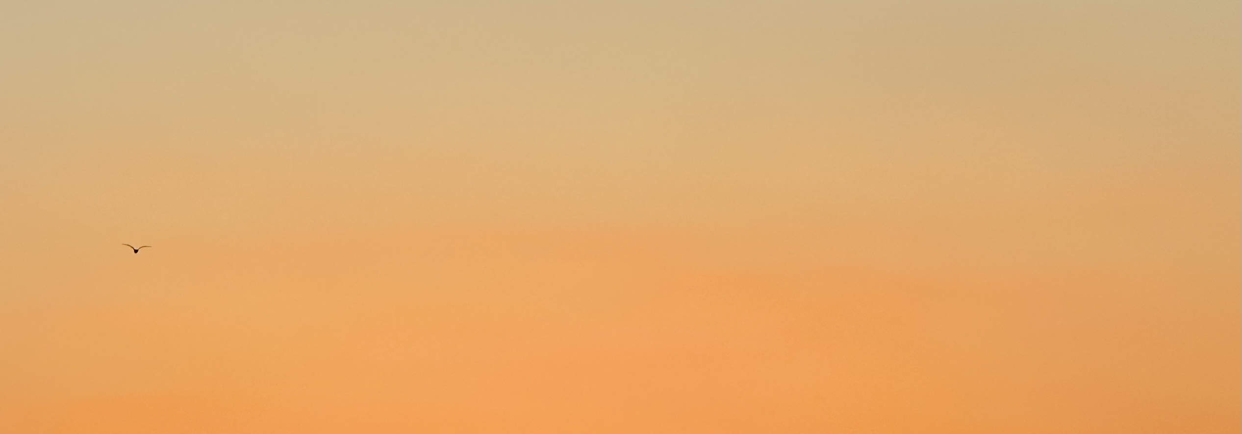 イスタンブール絶景サンセットクルーズ：アジア側探検付き3時間