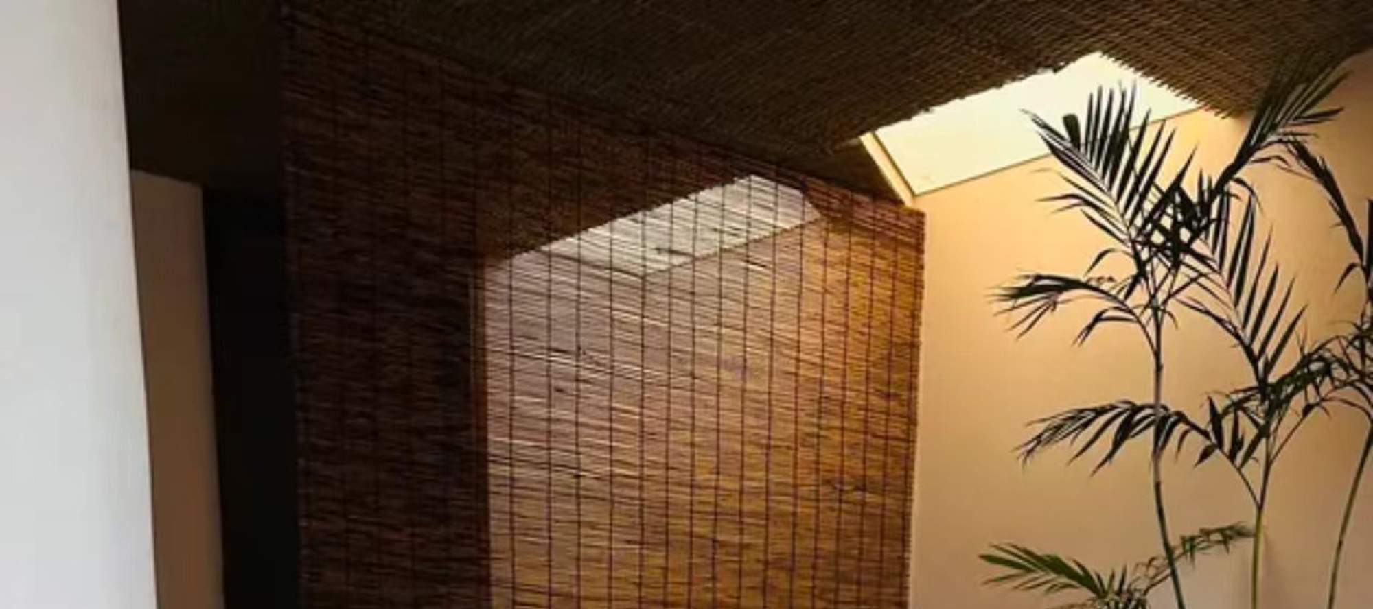 Chongqing Fulai Thé & Co